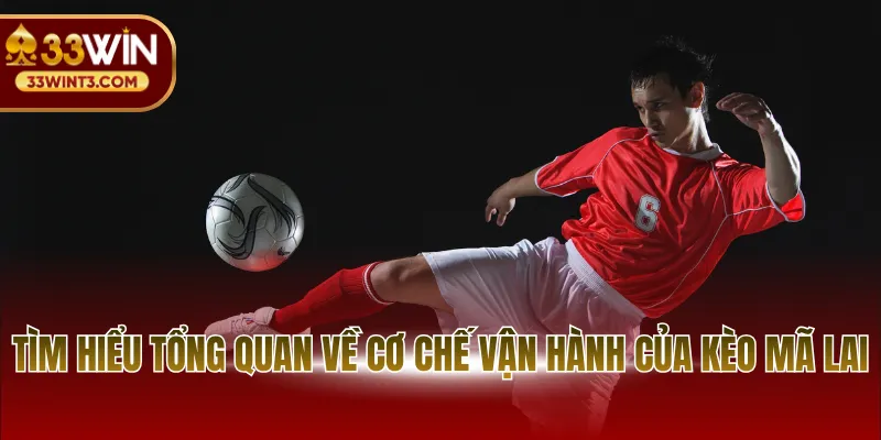Tìm hiểu tổng quan về cơ chế vận hành của kèo mã lai